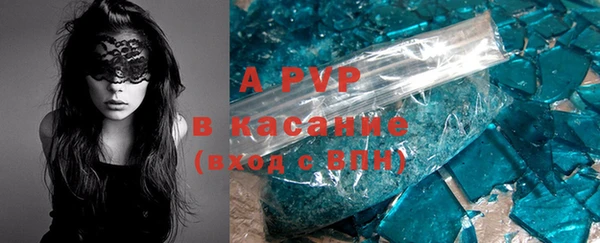 дмт Магас