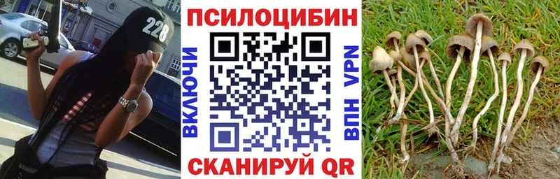 кракен ССЫЛКА  Ханты-Мансийск  Псилоцибиновые грибы MAGIC MUSHROOMS  где найти  